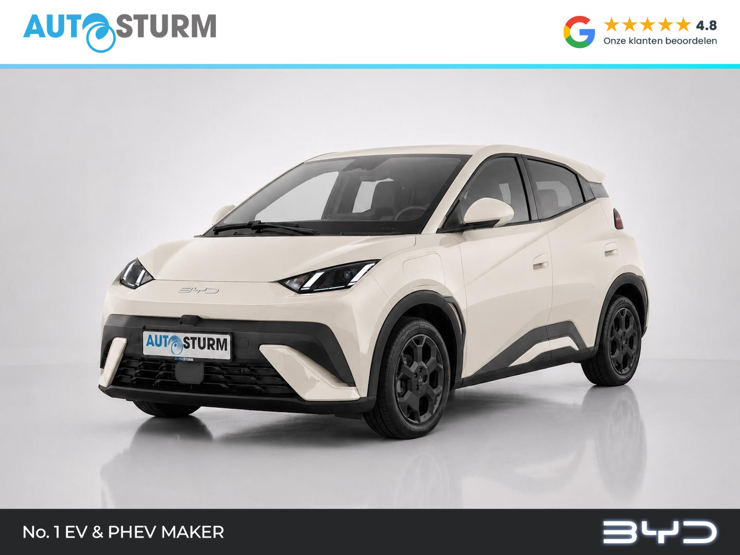 BYD DOLPHIN SURF