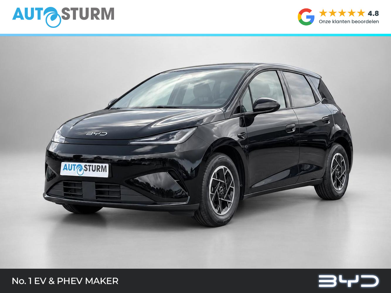 BYD DOLPHIN
